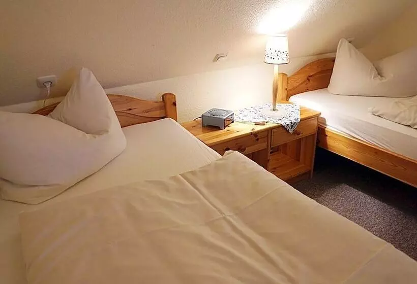 Hotel Restaurant Und Pension Zur Wildgans