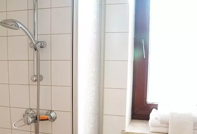 Hotel Restaurant Und Pension Zur Wildgans