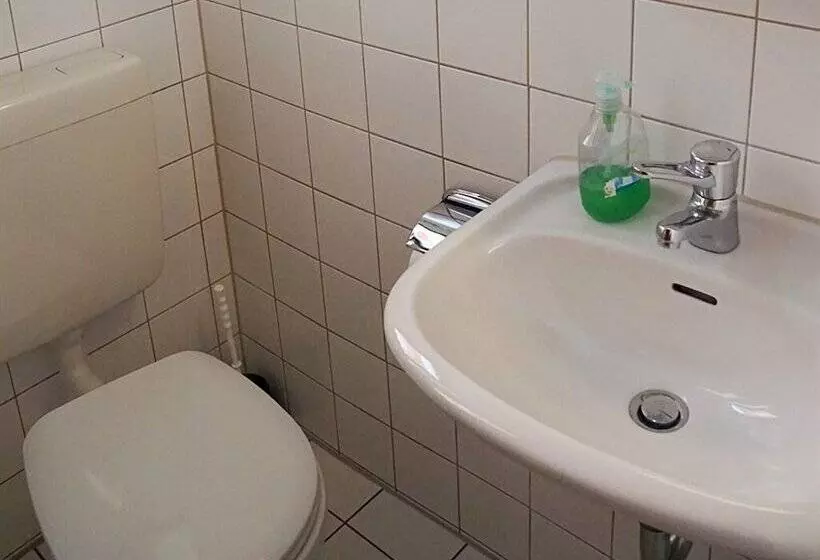 Hotel Restaurant Und Pension Zur Wildgans