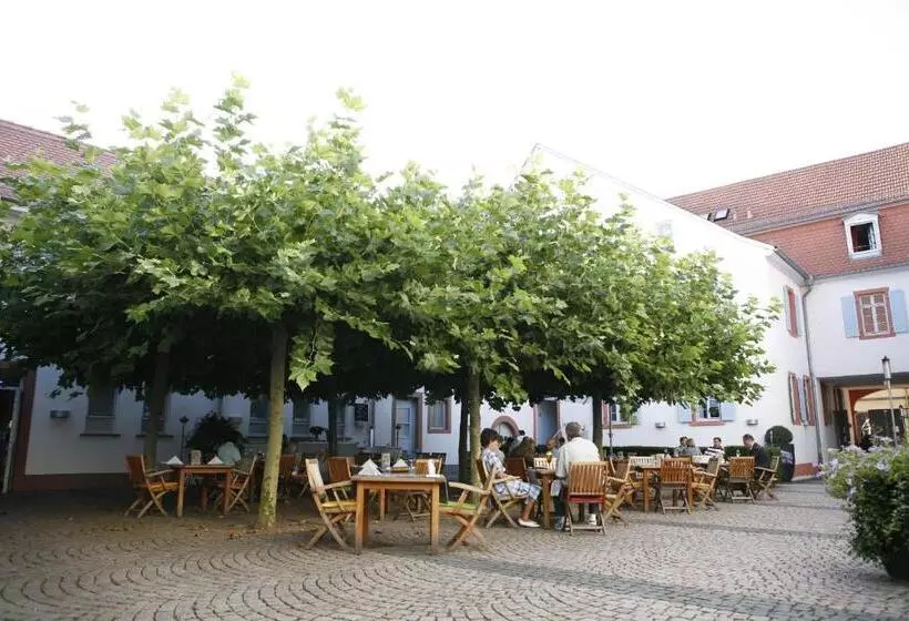 Landhotel Zum Schwanen Mit Restaurant Mona Liza