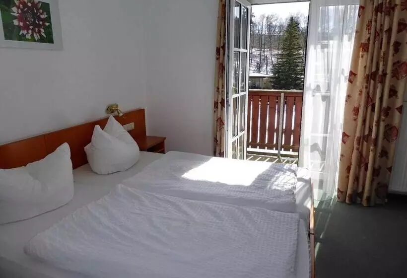 Parkhotel Bad Brambach