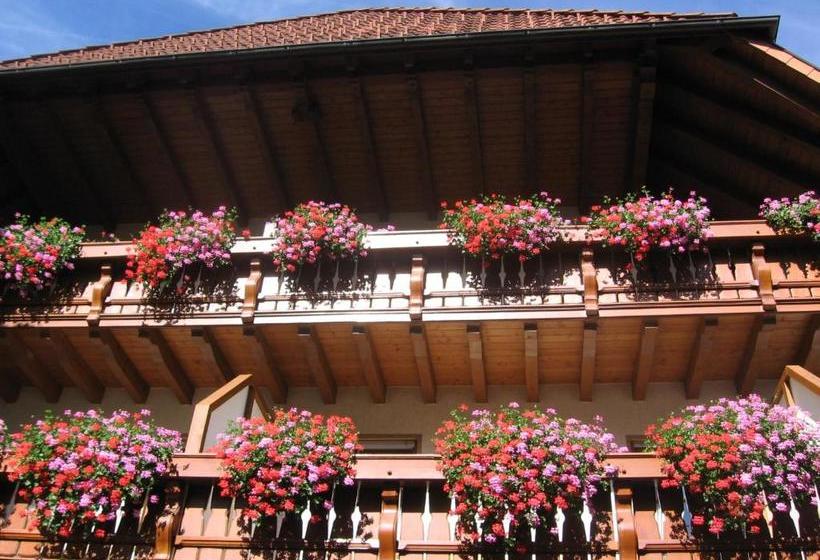 膳宿费 Gasthaus Zum Hirschen