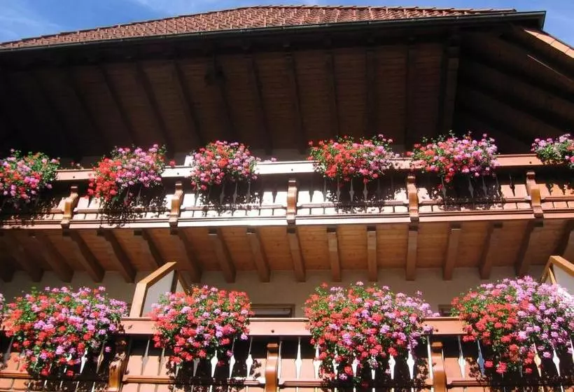 ペンション Gasthaus Zum Hirschen