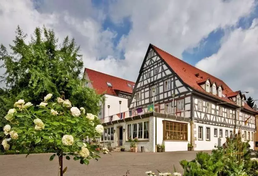 פנסיון Landgasthof Hirsch