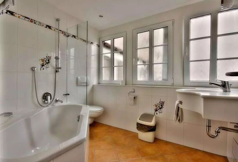 פנסיון Landgasthof Hirsch