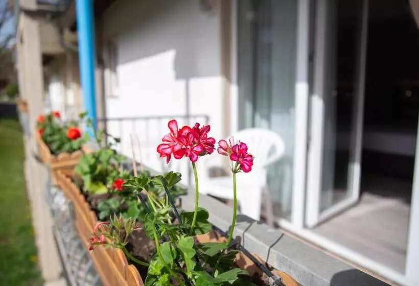 膳宿费 Willmeroth Windeck