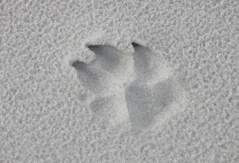 Apartament Słoneczny