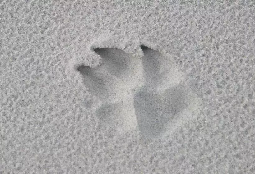 Apartament Słoneczny