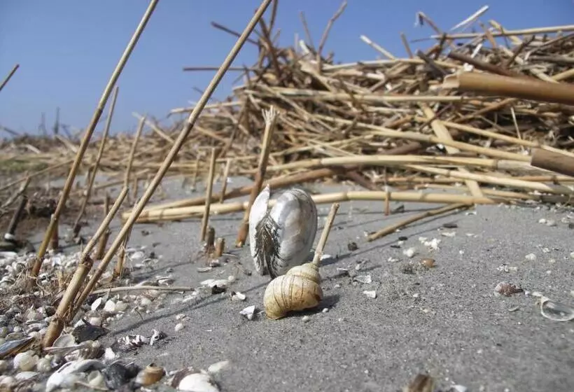 Apartament Słoneczny