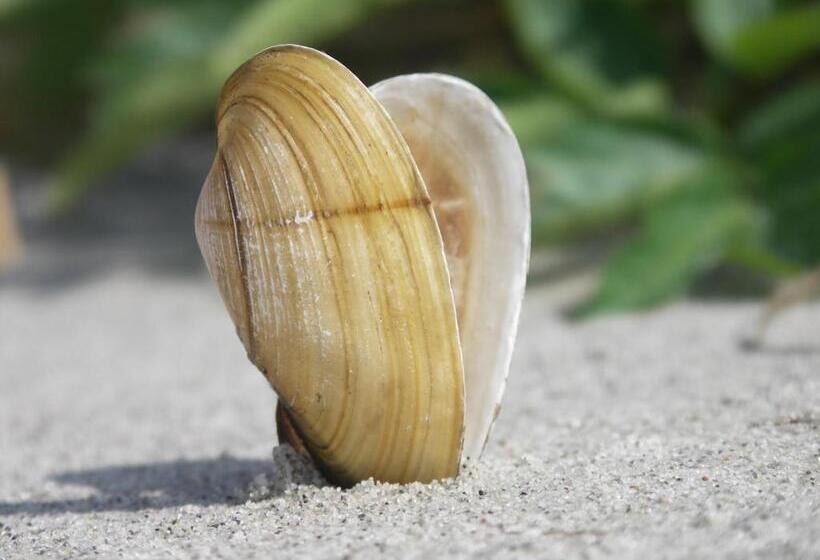 Apartament Słoneczny