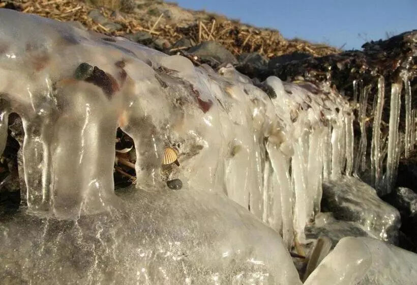 Apartament Słoneczny