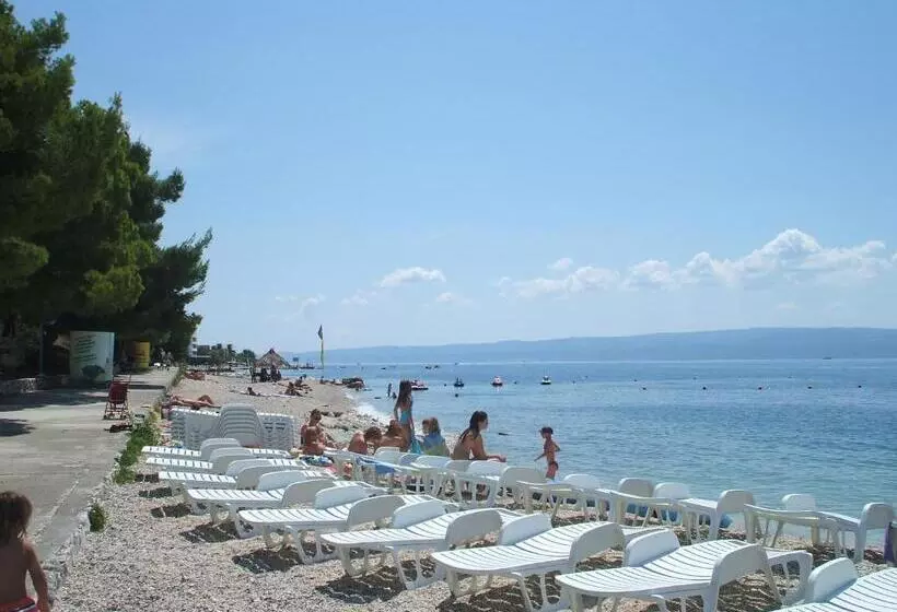 Bed & Breakfast Senator