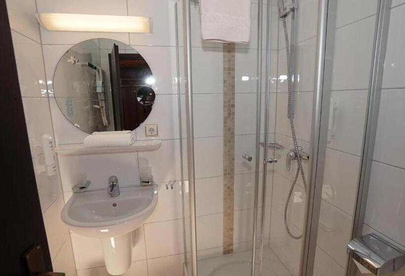 فندق Alter Kranen