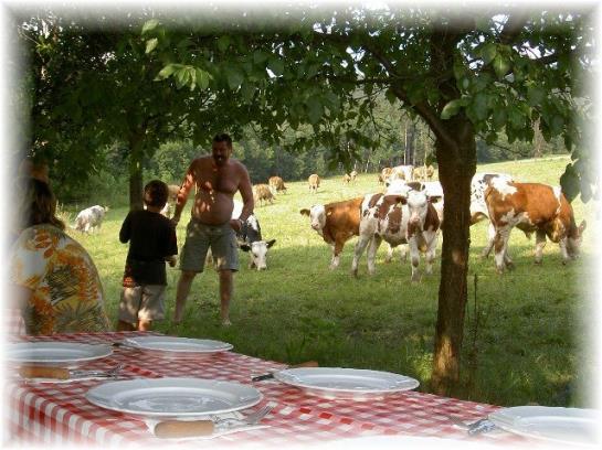 Bauernhof Dunstbauer