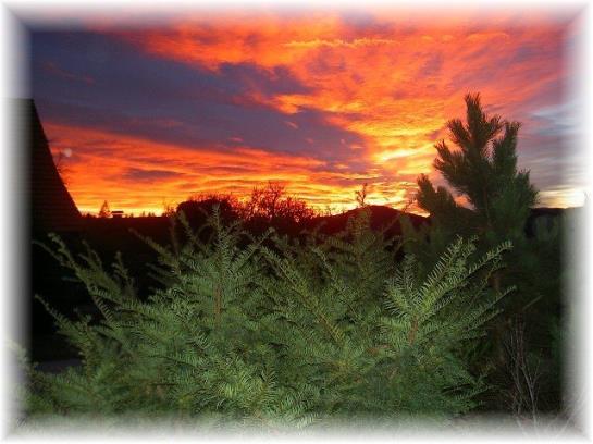 Bauernhof Dunstbauer