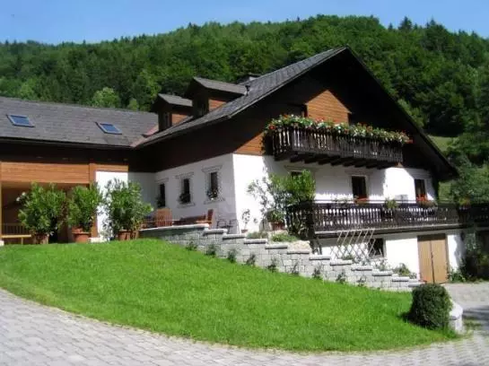 Bauernhof Fallmann 'lueg'