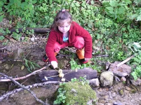 Bauernhof Fallmann 'lueg'