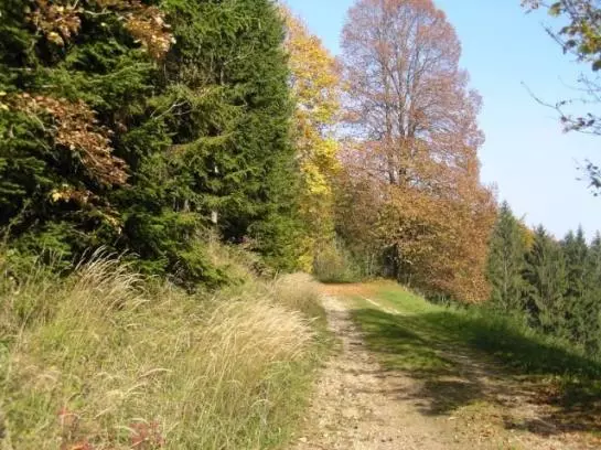 Bauernhof Fallmann 'lueg'