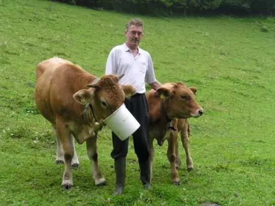 Bauernhof Fallmann 'lueg'