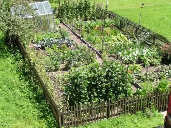 Bauernhof Fallmann 'lueg'