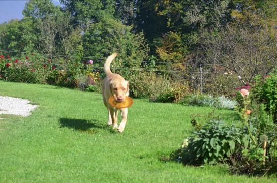 Bauernhof Kainzleiten