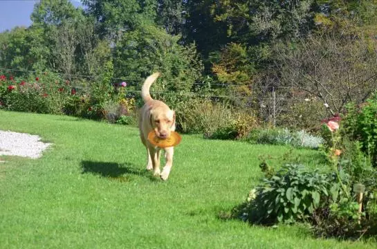 Bauernhof Kainzleiten