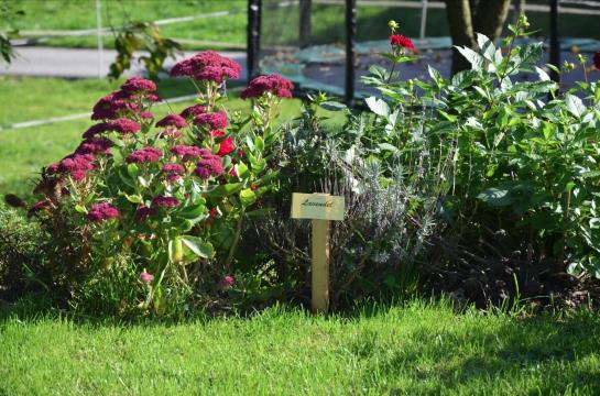 Bauernhof Kainzleiten