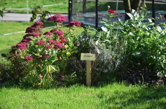 Bauernhof Kainzleiten