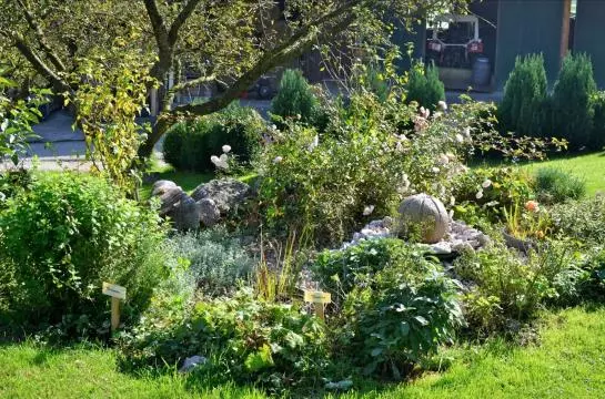 Bauernhof Kainzleiten