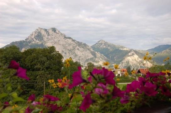 Bauernhof Kainzleiten