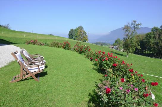 Bauernhof Kainzleiten