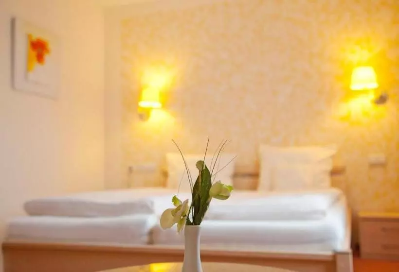 בית מלון כפרי City