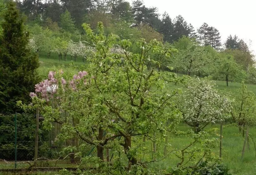 酒店 Gästehaus Zum Lamm