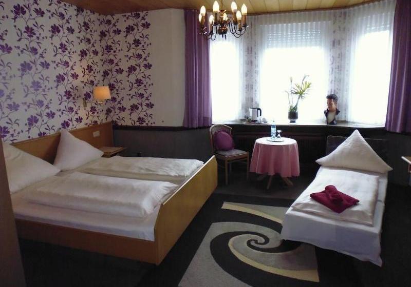 فندق Nassauer Hof