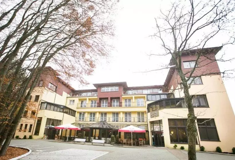 فندق Okulski Grand Rozewie