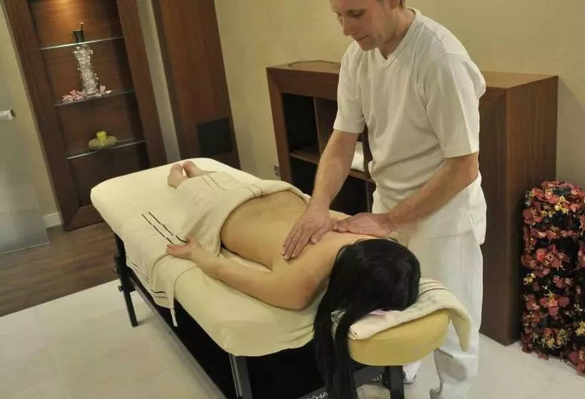 酒店 Radocza Park Active & Spa