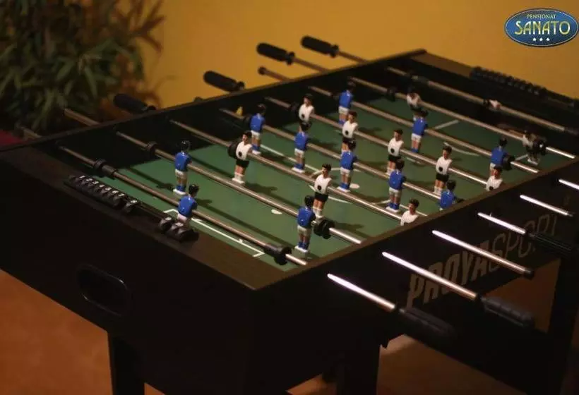 호텔 Pensjonat Sanato