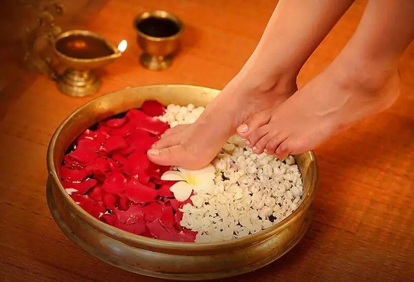 酒店 Elephant Court Thekkady