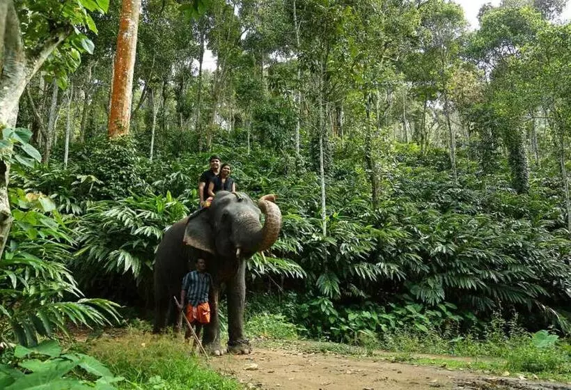 酒店 Elephant Court Thekkady