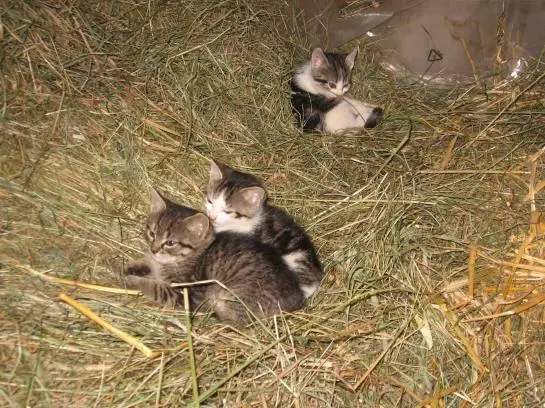 Отель Untermoos