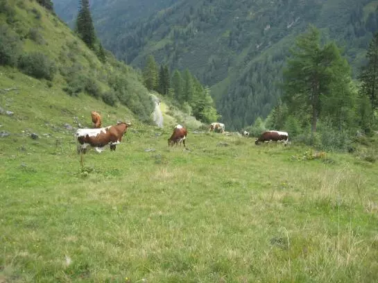 Отель Untermoos