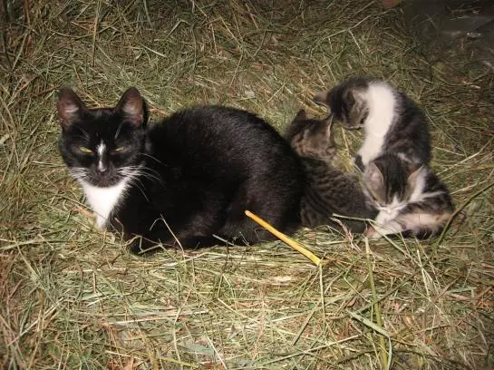 Отель Untermoos