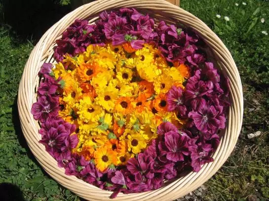 Отель Untermoos