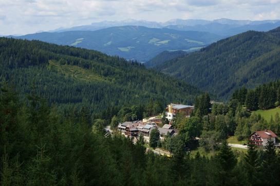 Отель Waldheimathof Almdörfl