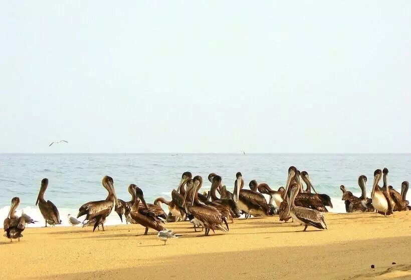 Galería Suites San Pancho