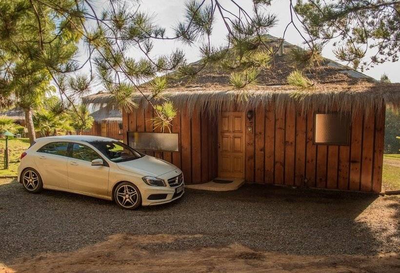 ホテル Pao Pao Lodge Algarrobo