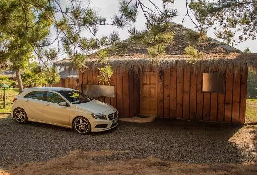 Hotelli Pao Pao Lodge Algarrobo