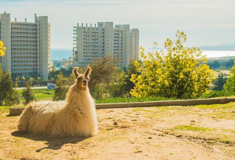 ホテル Pao Pao Lodge Algarrobo