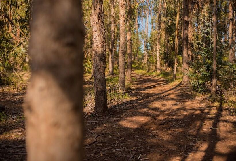 ホテル Pao Pao Lodge Algarrobo