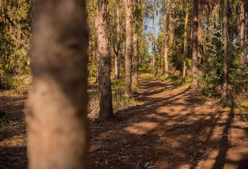 Hotelli Pao Pao Lodge Algarrobo